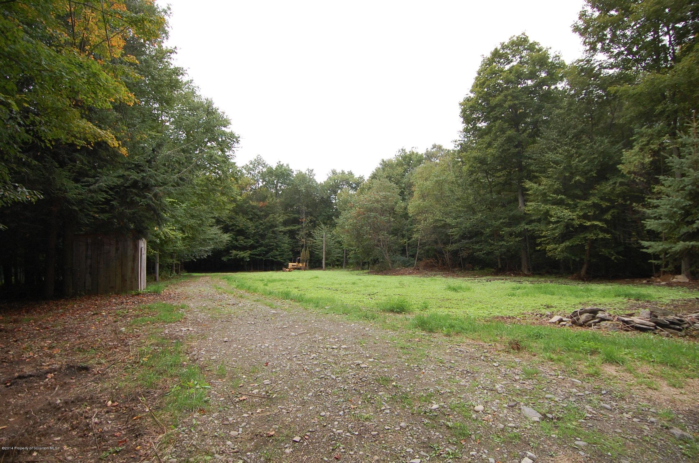 379 Barton Road Thompson, PA 18465 - Photo 1 of 5 level area with drilled well & septic