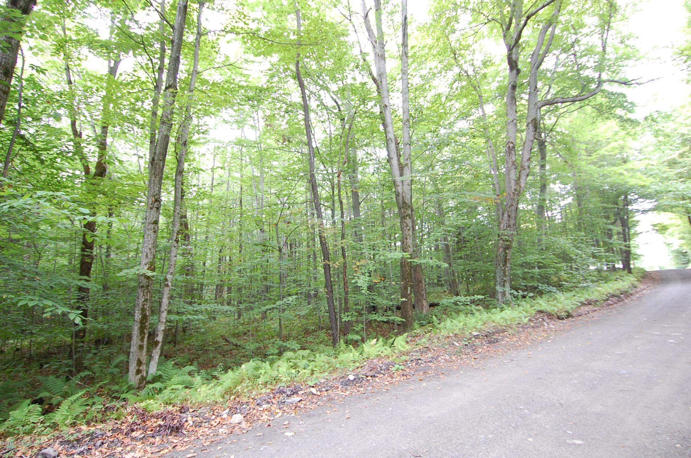 379 Barton Road Thompson, PA 18465 - Photo 2 of 5 road view