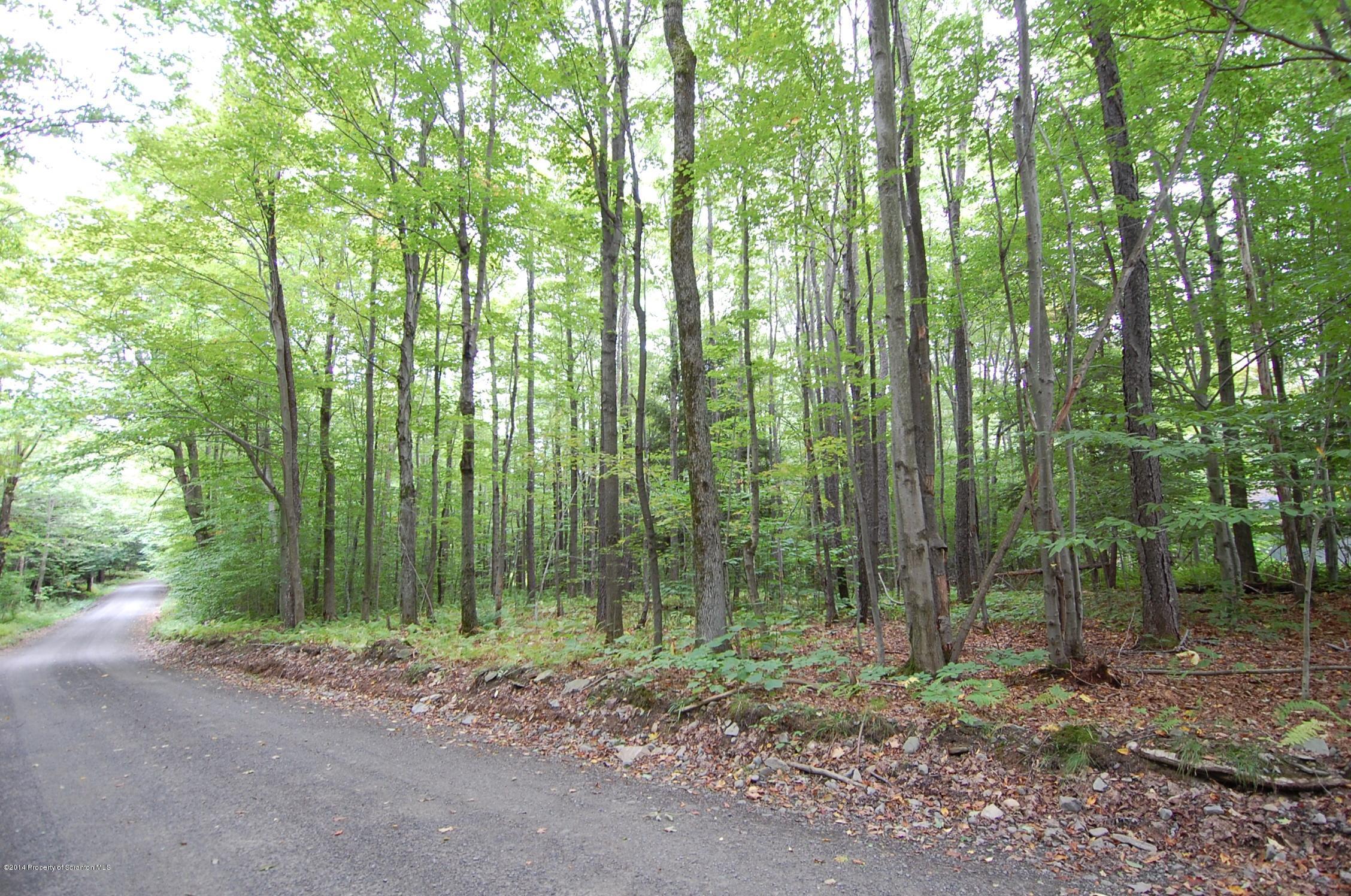 379 Barton Road Thompson, PA 18465 - Photo 3 of 5 woods