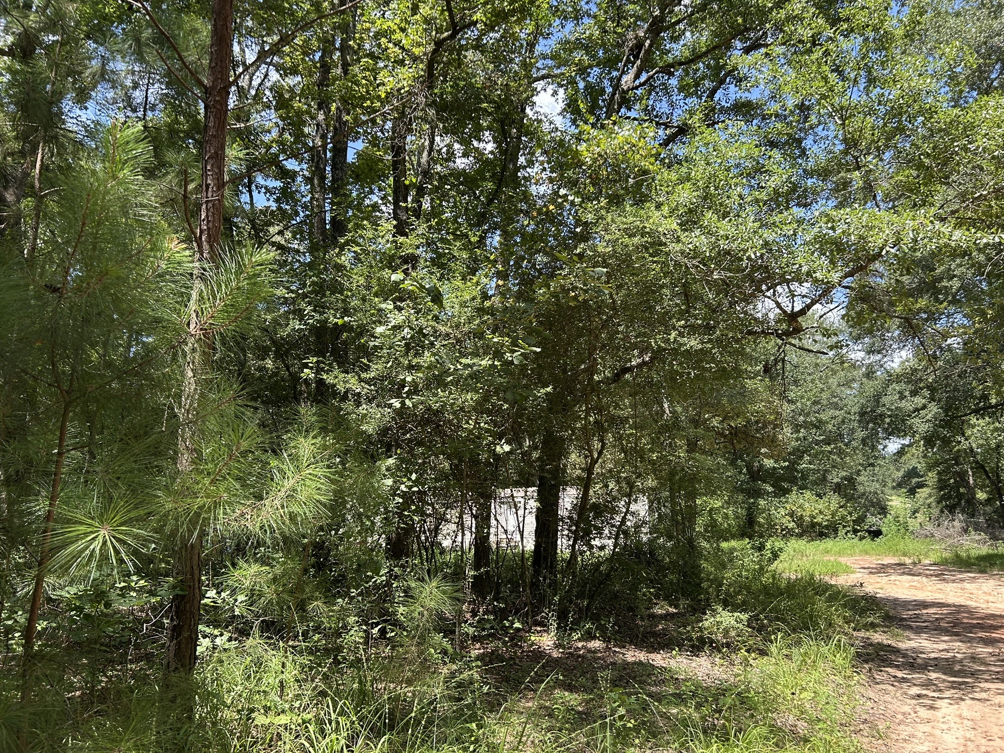 87 Townley Ranch Road Huntsville, TX 77320 - Photo 45 of 50