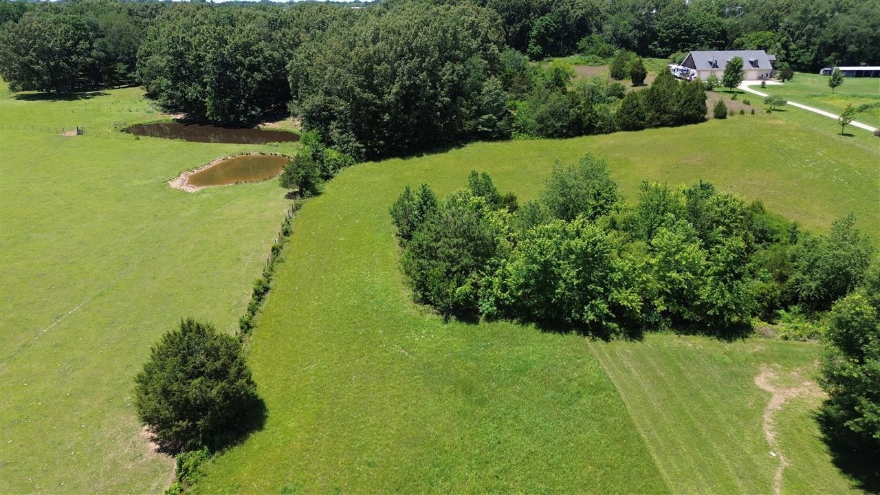 0 Macedonia Road Franklin, KY 42134 - Photo 6 of 10 Gallery Image 6