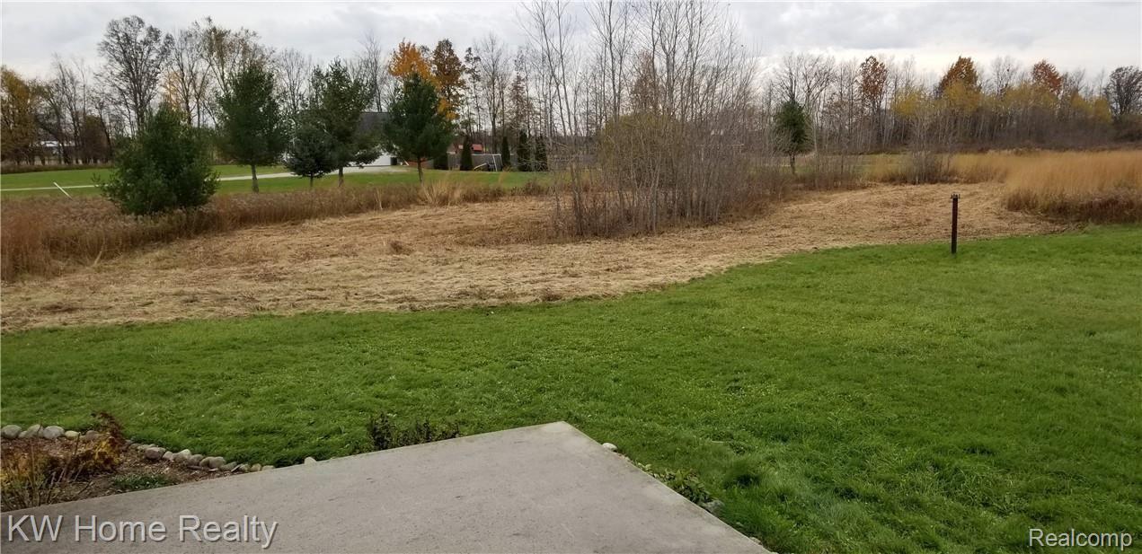 2169 Cove Road Goodells, MI 48027 - Photo 65 of 65 Far Left Side View Of 10.05 Acre Property From The Patio