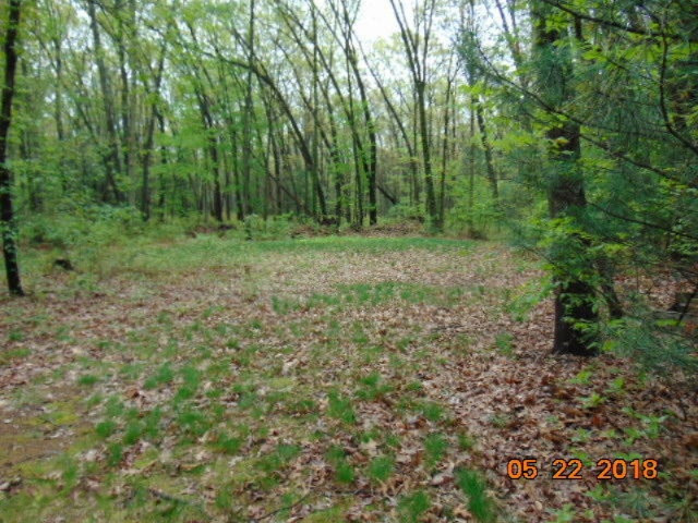 13770 State Road Nunica, MI 49448 - Photo 2 of 15 Backyard