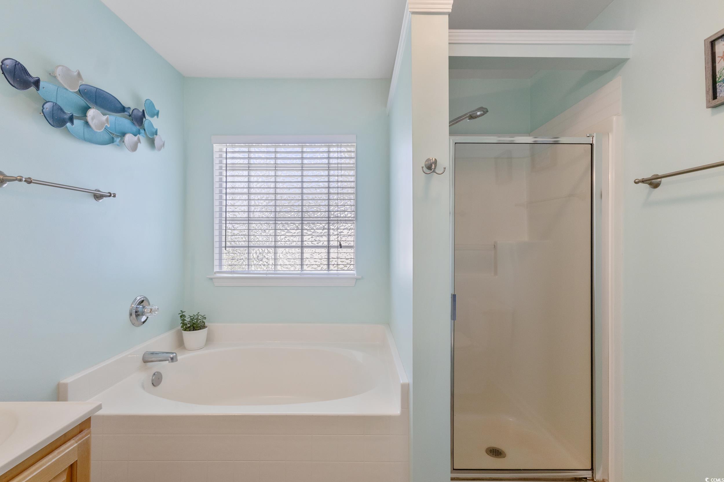 283 Whitchurch Street Murrells Inlet, SC 29576 - Photo 37 of 40 Bathroom featuring vanity, a stall shower, and a b