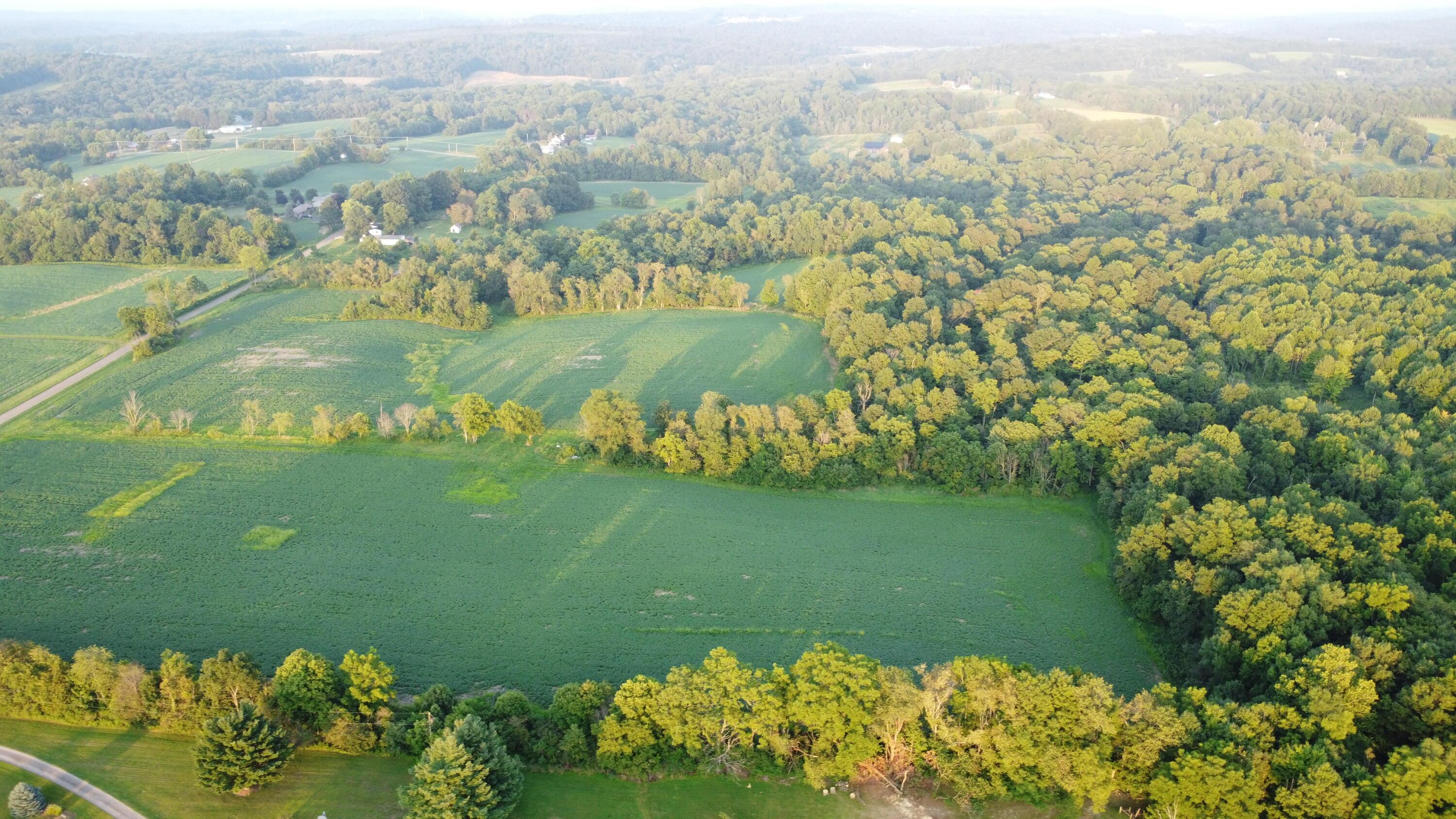 0 Garver Road Mansfield, OH 44903 - Photo 5 of 5 DJI_0134
