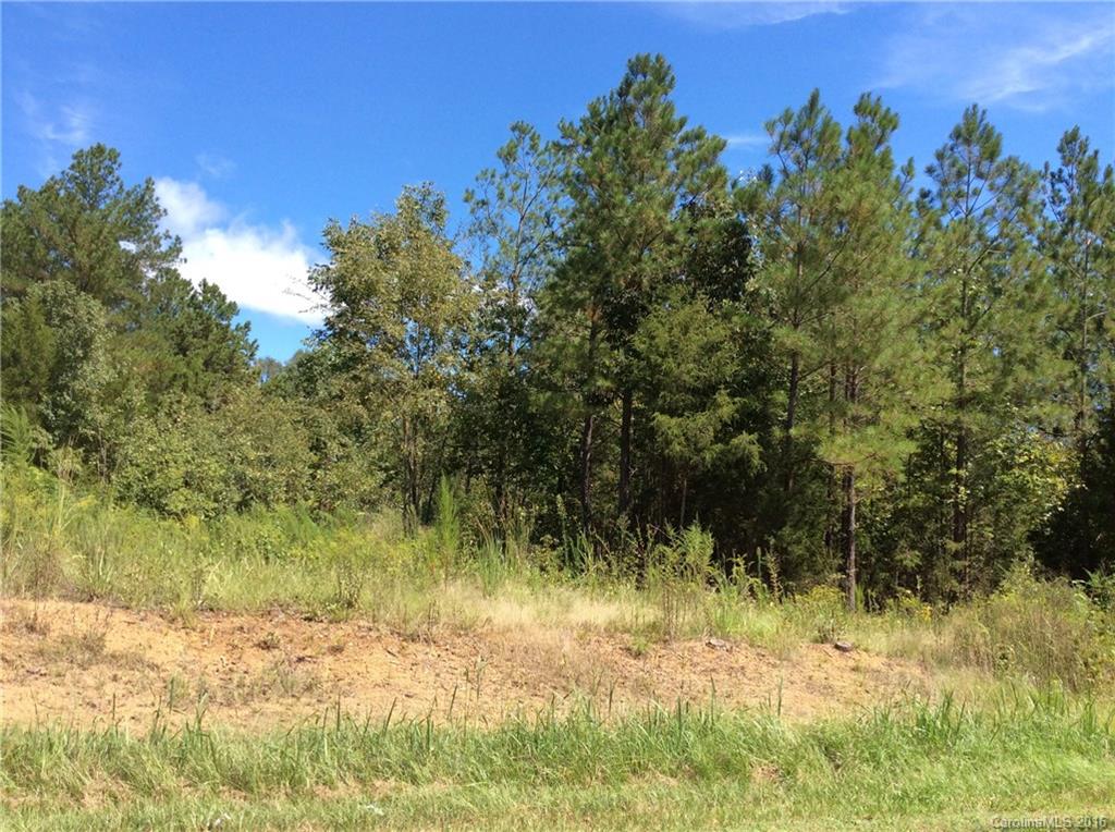 0 White Store Road, Unit 1 Wingate, NC 28174 - Photo 2 of 9