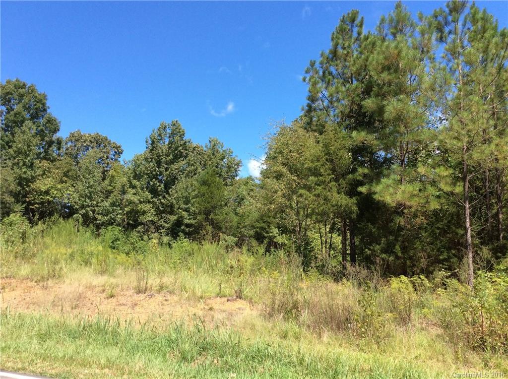 0 White Store Road, Unit 1 Wingate, NC 28174 - Photo 3 of 9