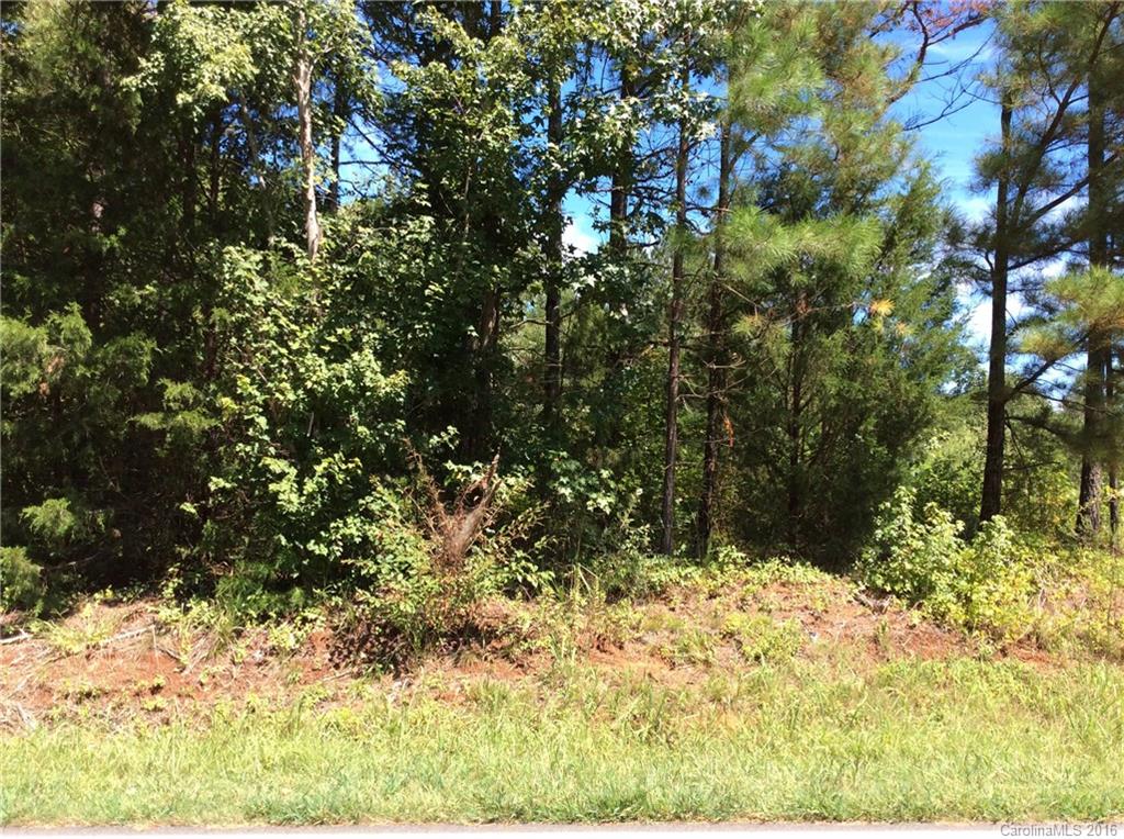 0 White Store Road, Unit 1 Wingate, NC 28174 - Photo 4 of 9