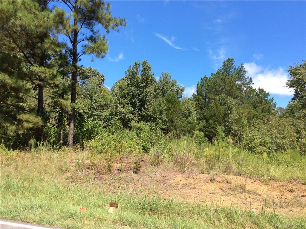 0 White Store Road, Unit 1 Wingate, NC 28174 - Photo 5 of 9