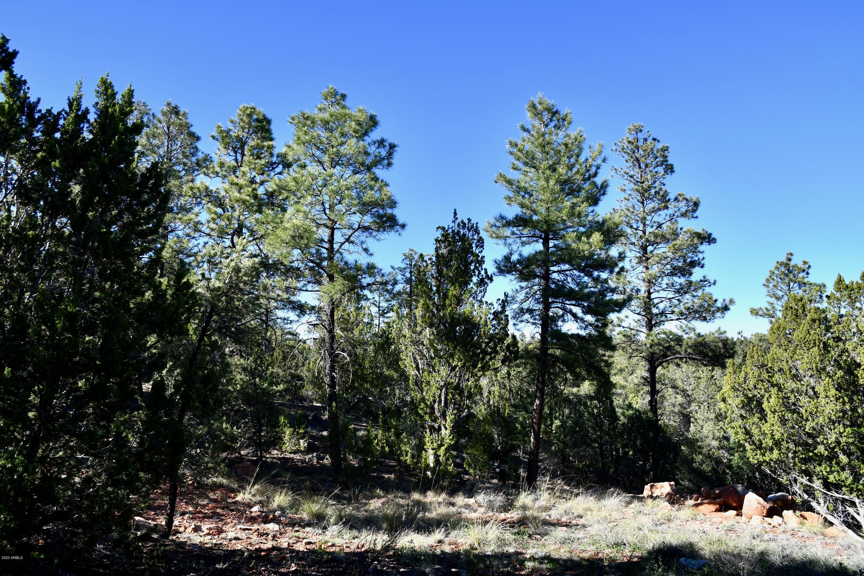 2981 Ranch House Road, Unit 304 Overgaard, AZ 85933 - Photo 1 of 10 DSC_7246