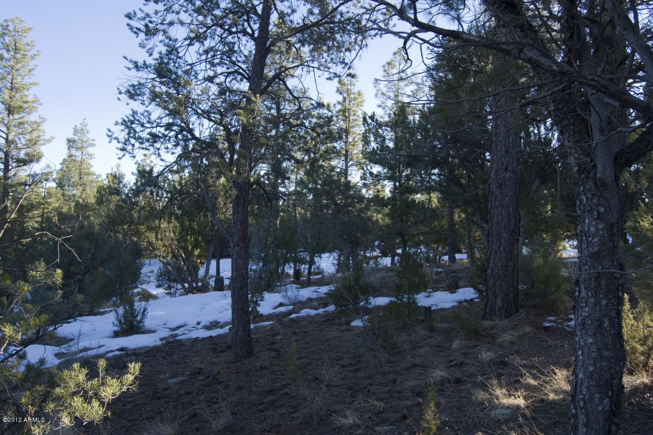 2981 Ranch House Road, Unit 304 Overgaard, AZ 85933 - Photo 5 of 10 pic 6