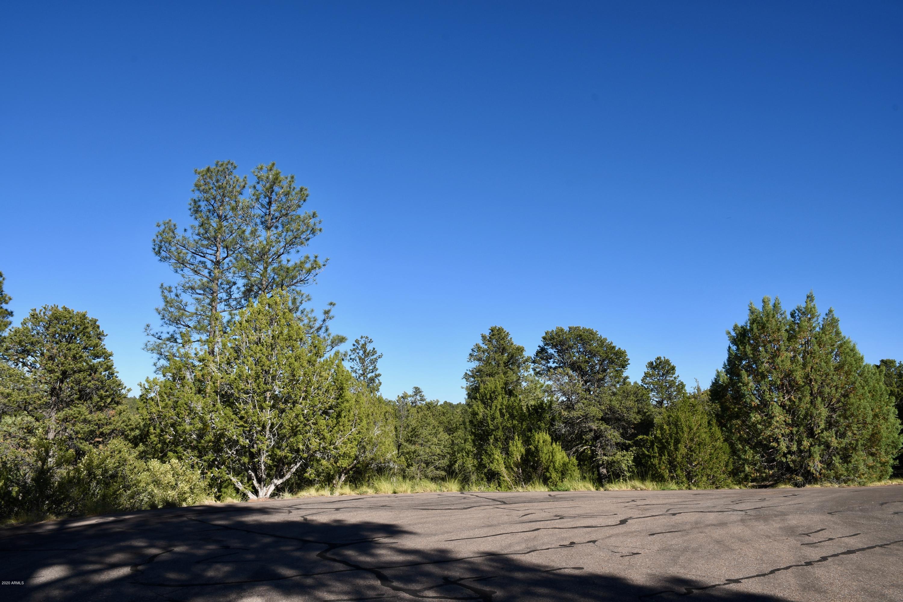 2981 Ranch House Road, Unit 304 Overgaard, AZ 85933 - Photo 10 of 10 DSC_7226