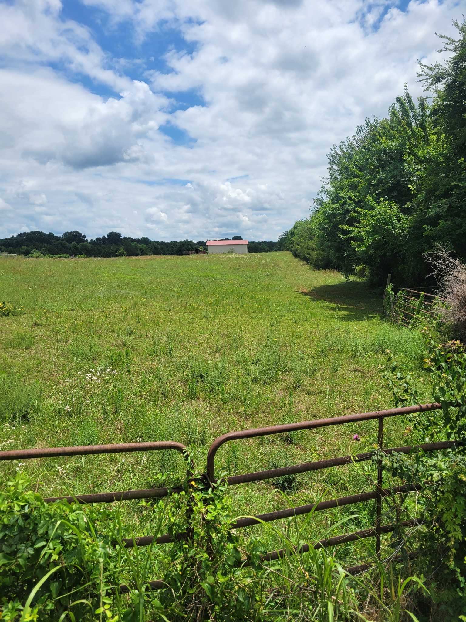 0 Midland Fosterville Road Bell Buckle, TN 37020 - Photo 1 of 3