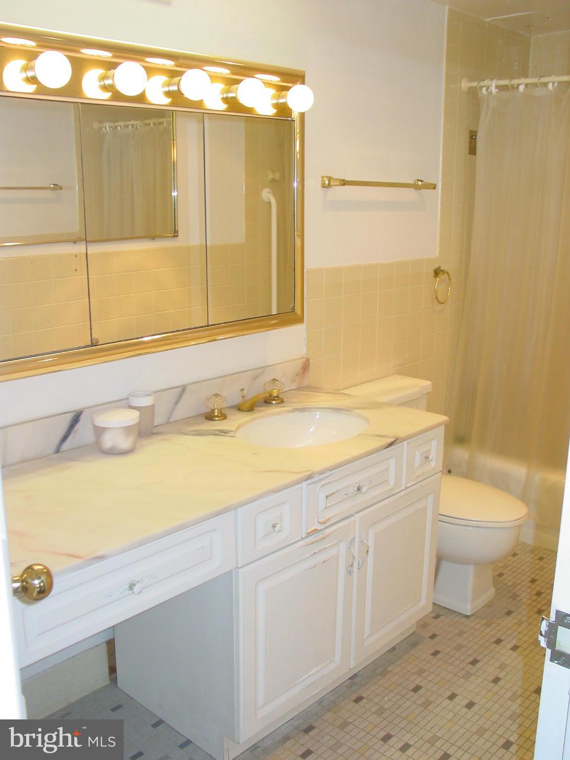 4401 Roland Avenue, Unit 212 Baltimore, MD 21210 - Photo 14 of 17 Bath
