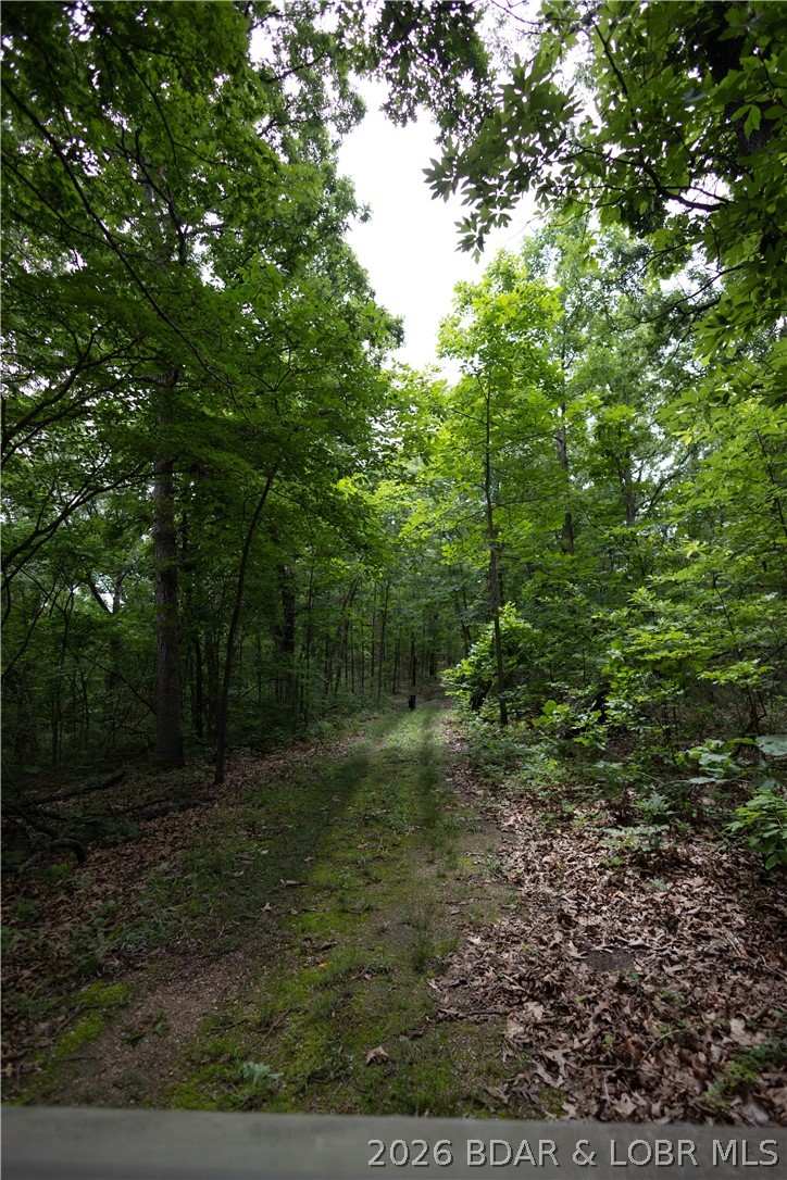 55 Mackey Road Rocky Mount, MO 65072 - Photo 28 of 31