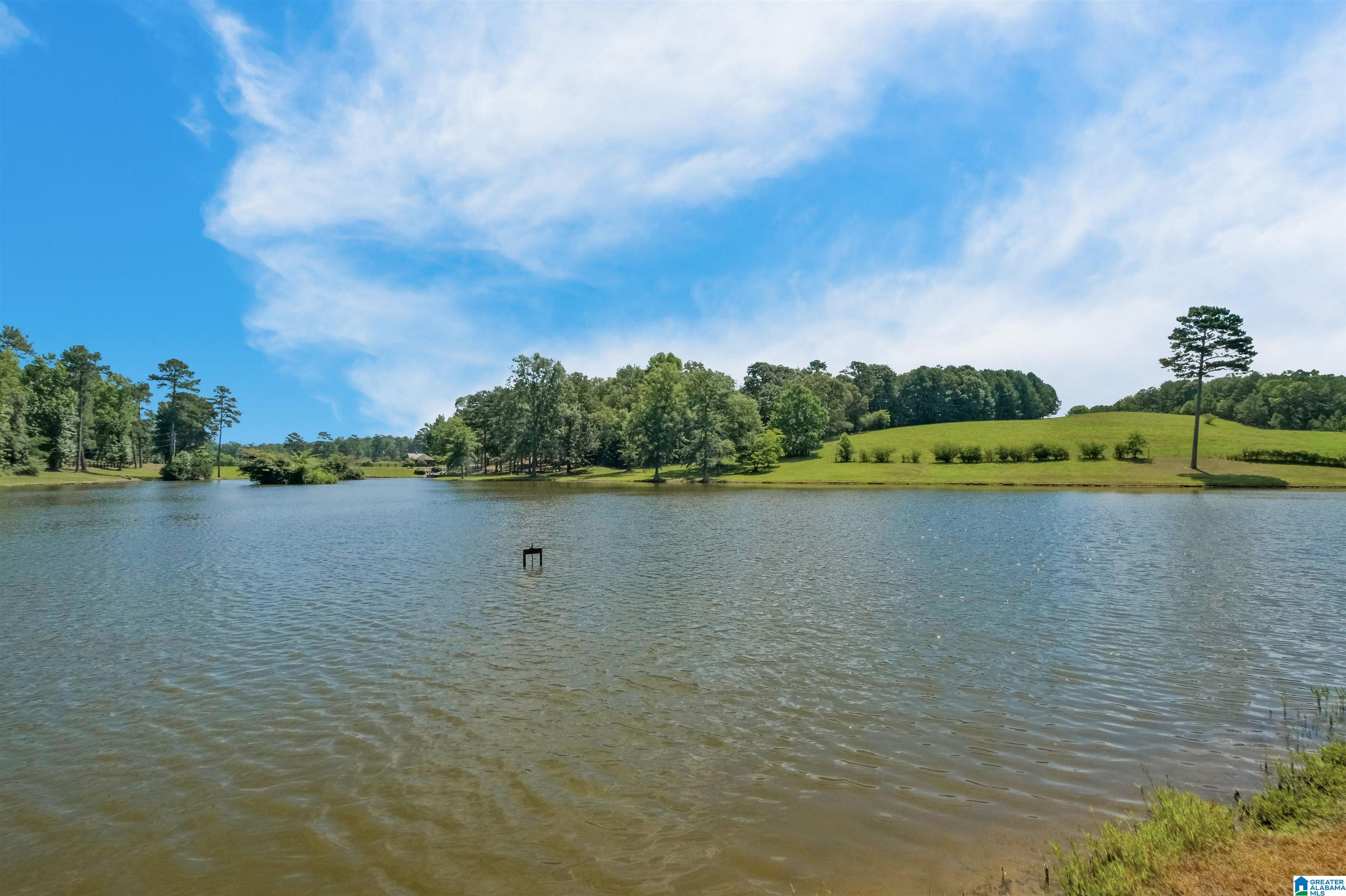 7146 Dry Creek Road Pell City, AL 35128 - Photo 94 of 100