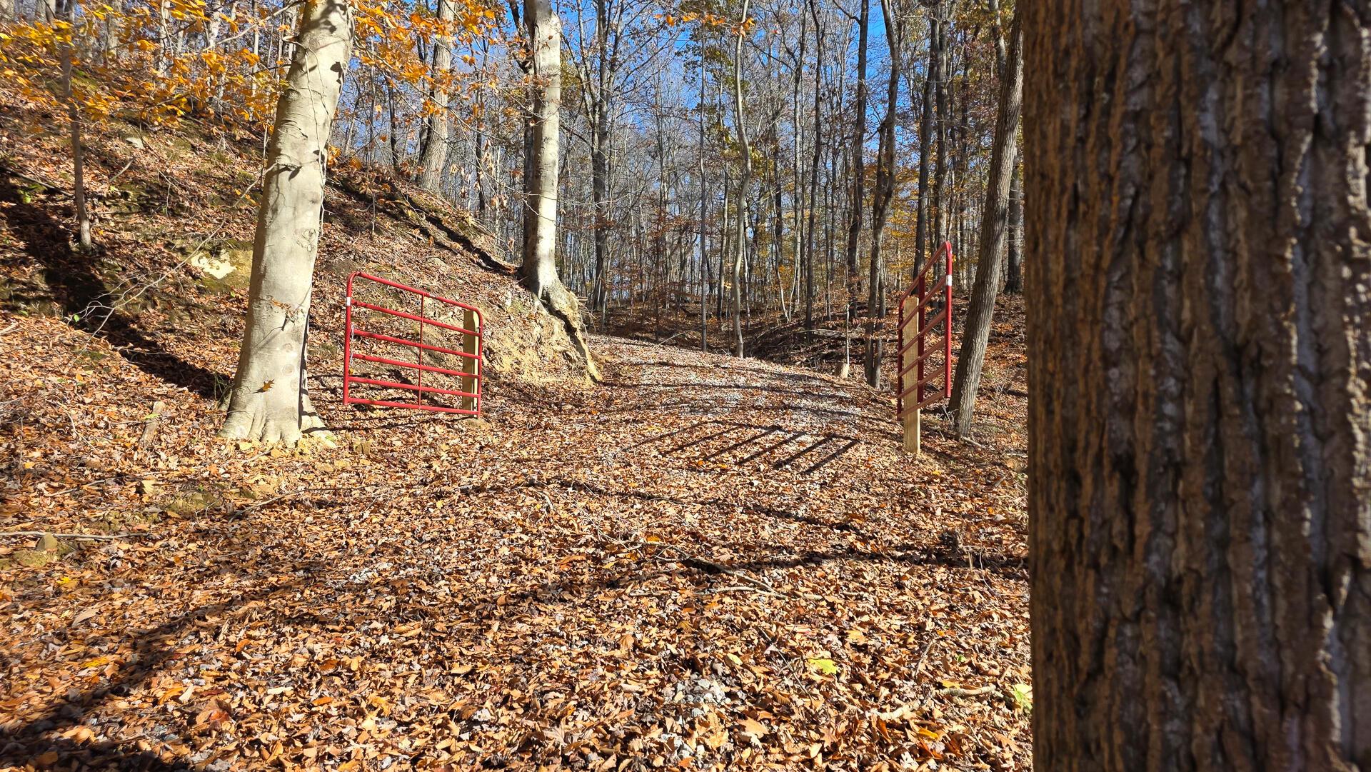 680 Nibert Road, Unit PONDS POPLAR RIDGE TRACT 10) Gallipolis, OH 45631 - Photo 8 of 46 CT-8