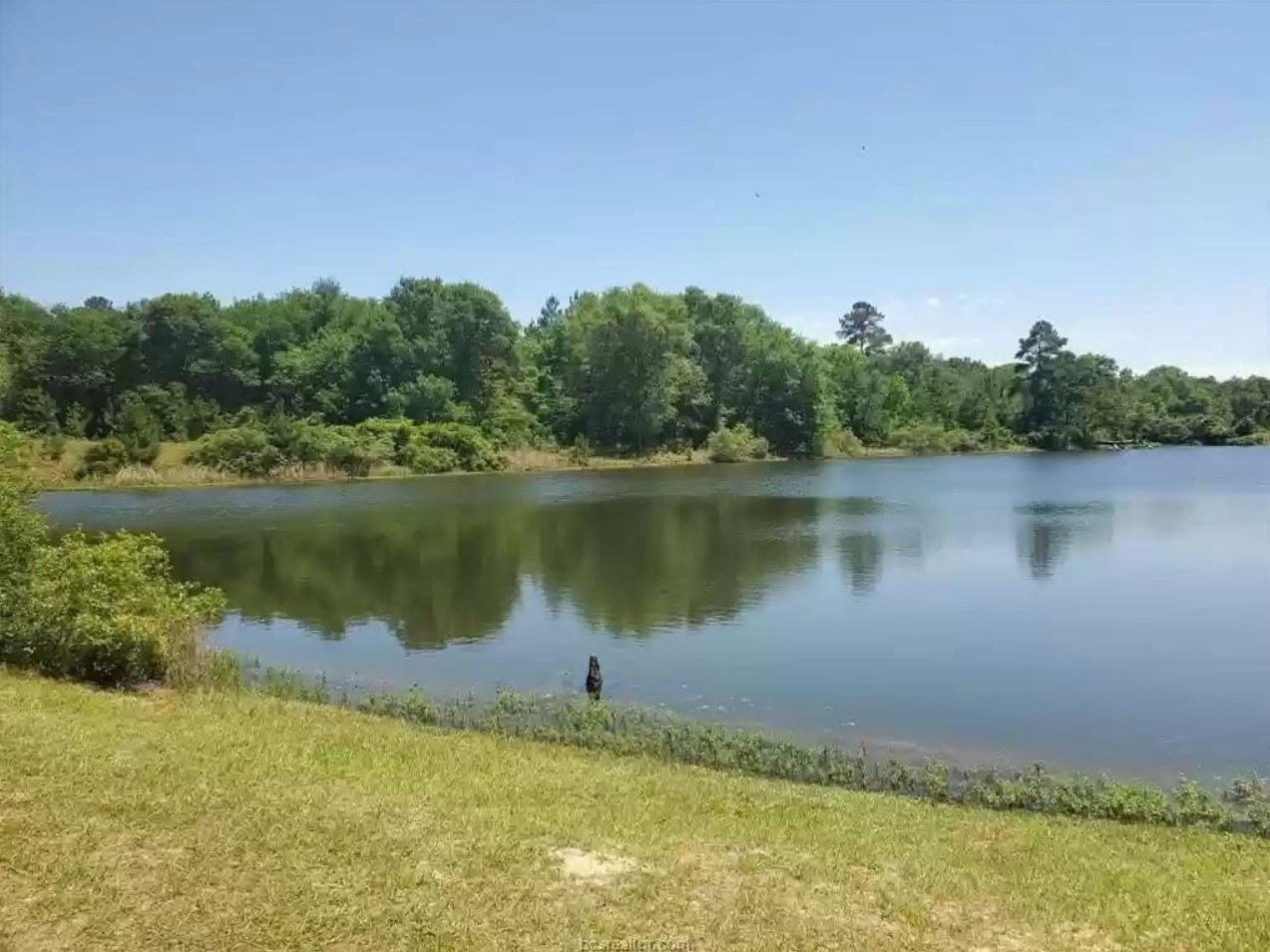 0 Lake Shore Drive Hempstead, TX 77445 - Photo 12 of 13 a view of a lake with houses in the background