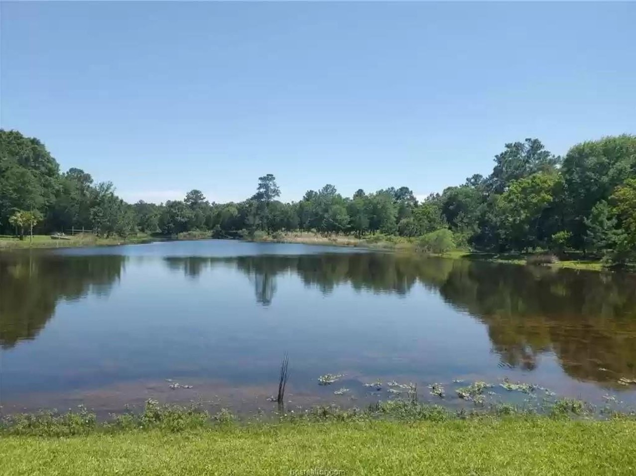 0 Lake Shore Drive Hempstead, TX 77445 - Photo 13 of 13 a view of a lake