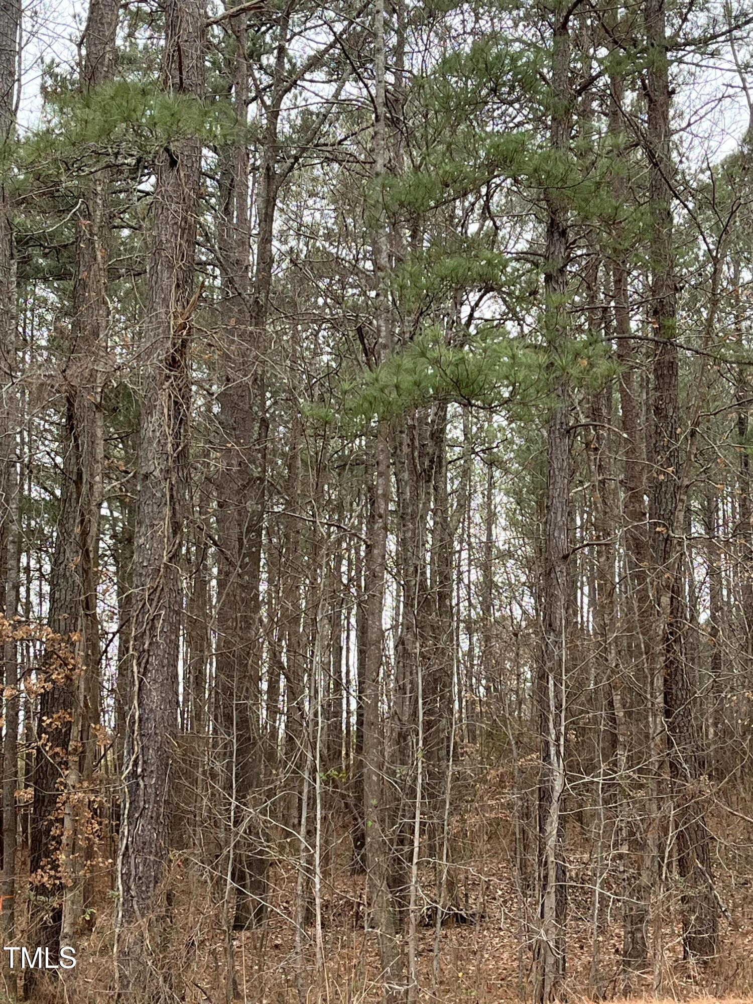 1822 Ruin Creek Road Henderson, NC 27537 - Photo 3 of 4 IMG_7087