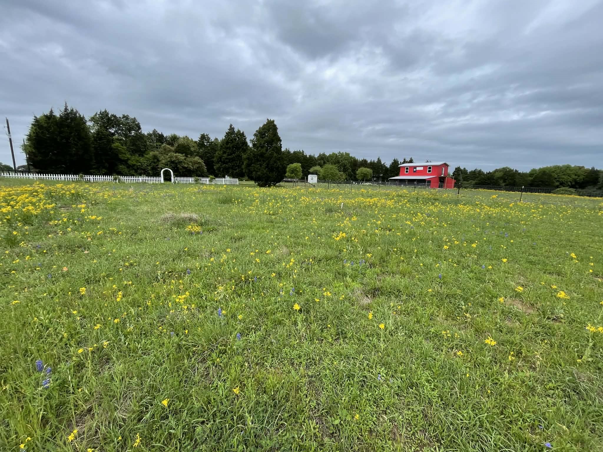 4046 Kurtz Road Sealy, TX 77474 - Photo 17 of 27 Looking towards the houes from the road. The house is totally hidden from view.