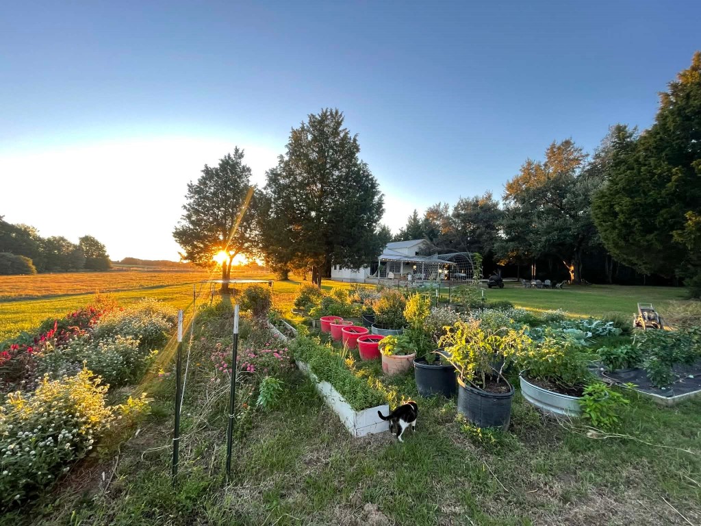 4046 Kurtz Road Sealy, TX 77474 - Photo 24 of 27 Garden & Green House Ready to go.