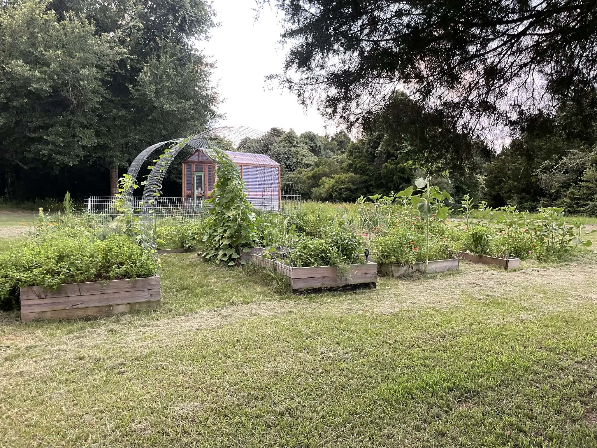 4046 Kurtz Road Sealy, TX 77474 - Photo 25 of 27 Garden & Green House Ready to go.