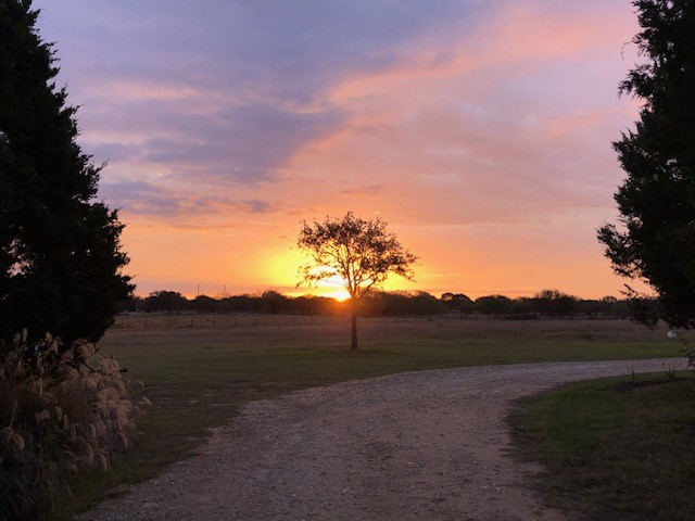 4046 Kurtz Road Sealy, TX 77474 - Photo 26 of 27 Sunrise