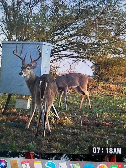 4046 Kurtz Road Sealy, TX 77474 - Photo 27 of 27