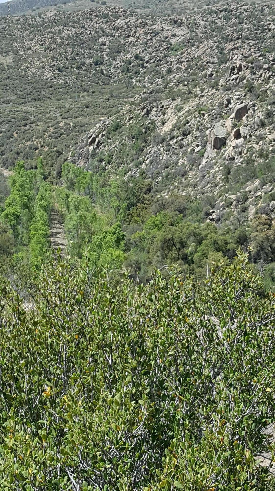 2610 Iron Springs Road Skull Valley, AZ 86338 - Photo 33 of 36 20160423_104220