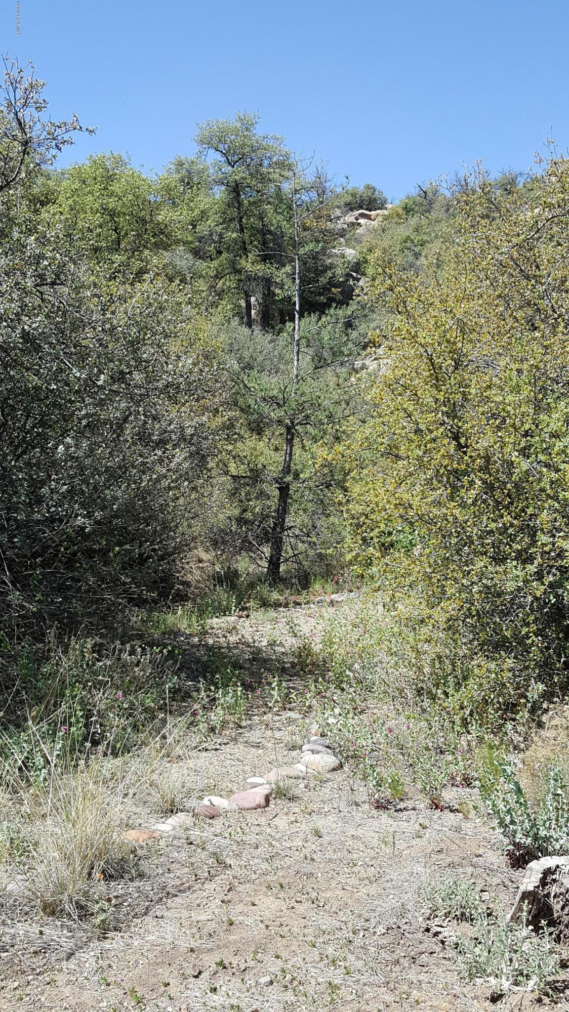 2610 Iron Springs Road Skull Valley, AZ 86338 - Photo 36 of 36 20160423_102058