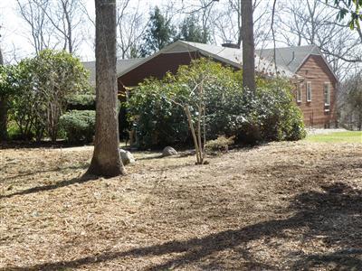 36 Wilson Road Woods Hole, MA 02543 - Photo 4 of 19 Additional Photo