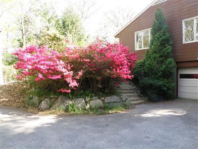 36 Wilson Road Woods Hole, MA 02543 - Photo 8 of 19 Additional Photo