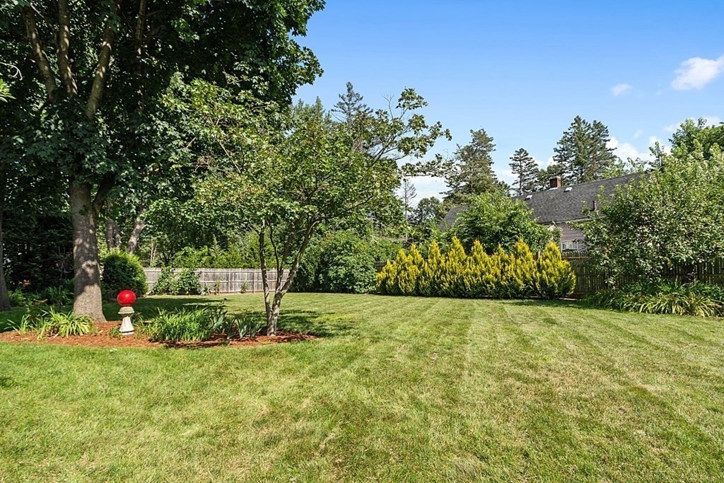 6 Wildes Road Chelmsford, MA 01824 - Photo 40 of 42 a backyard of a house with plants and large trees