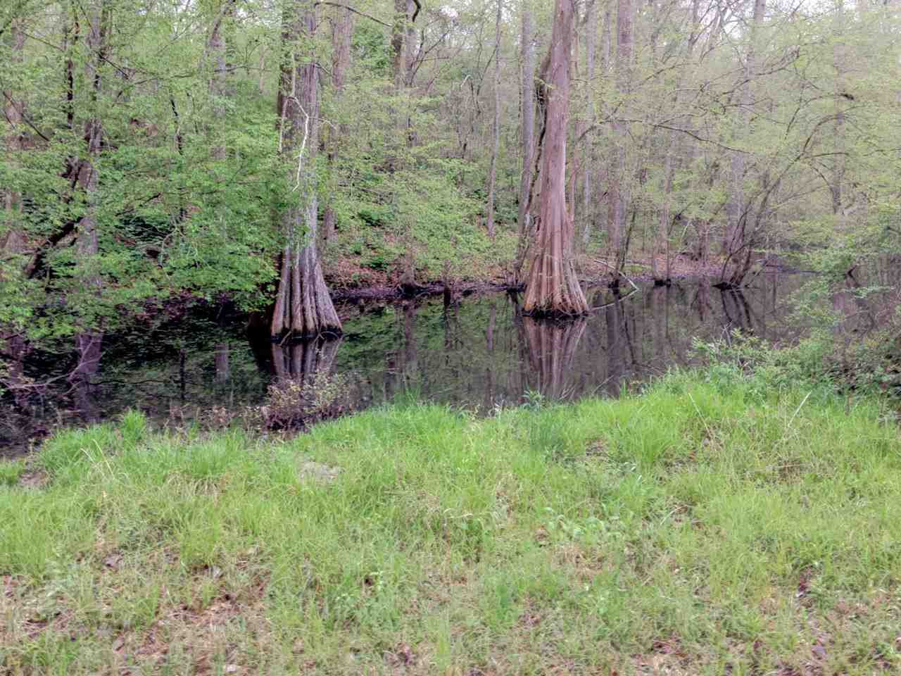 1126 Peachtree Road Georgetown, MS 39078 - Photo 2 of 5 Photo 2
