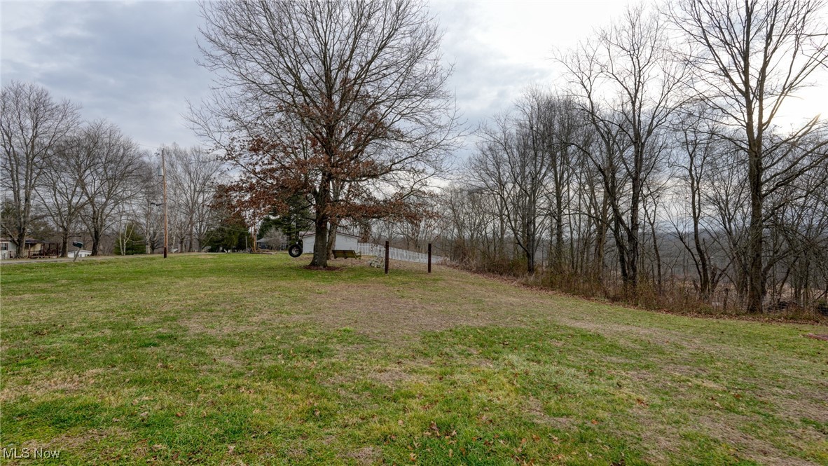 10614 Linwood Road Pleasant City, OH 43772 - Photo 38 of 48 View of grassy yard