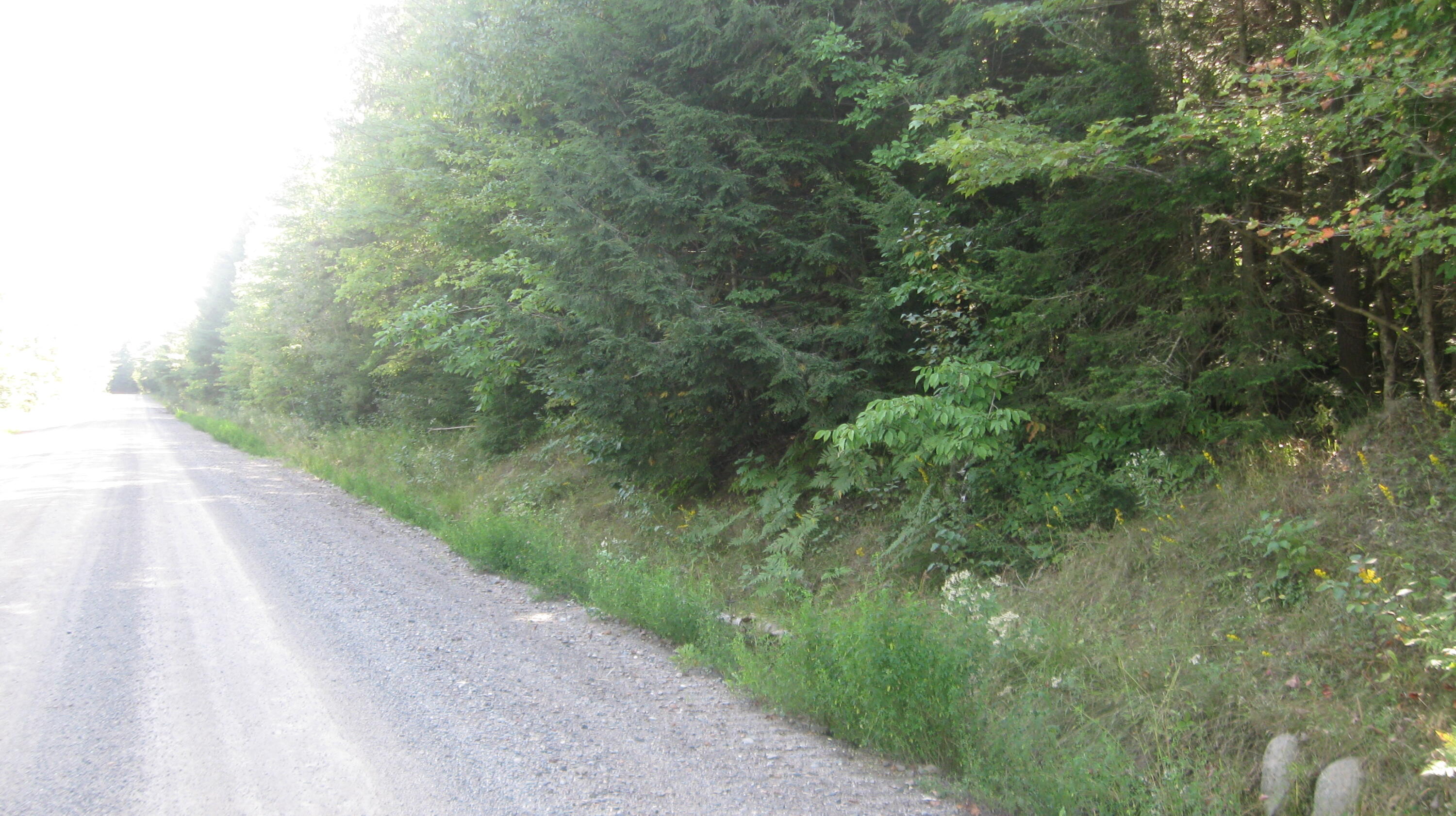 R6-05 Mattmiscontis Road Howland, ME 04448 - Photo 7 of 9 Mattamiscontis Road