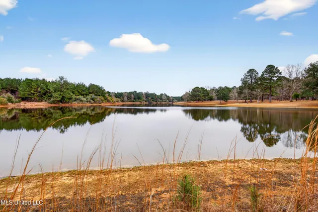 $349,000 | 80 Los Nogales Boulevard, Poplarville, MS 39470