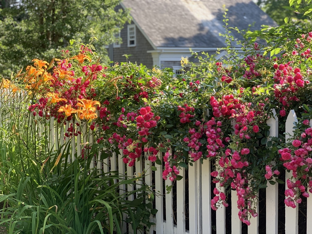 5 Depot Road Truro, MA 02666 - Photo 4 of 42