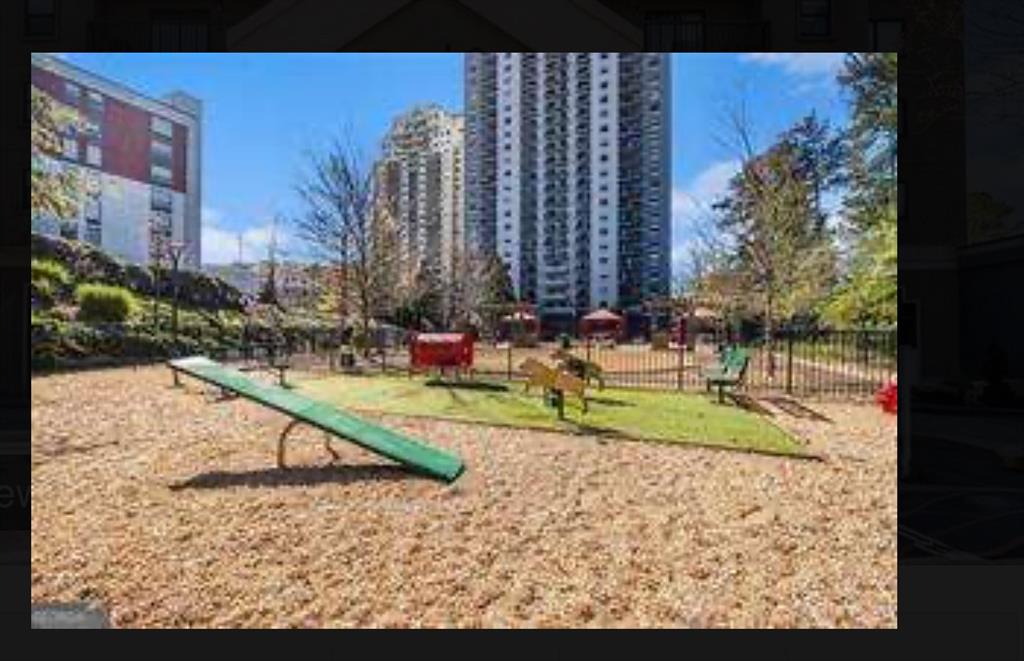 a view of a park with large trees