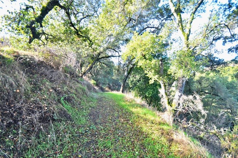 0 Mt Eden Road Saratoga, CA 95070 - Photo 17 of 27