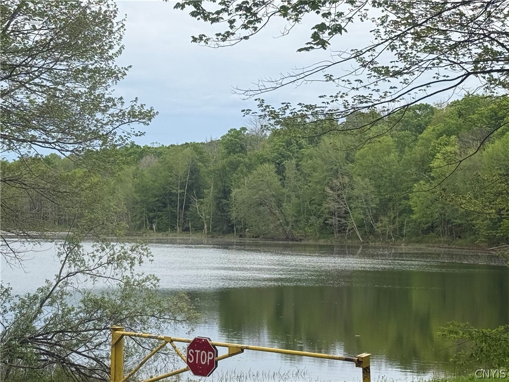 Lot #9 Lost Ridge Road, Unit 9 Camden, NY 13316 - Photo 23 of 27