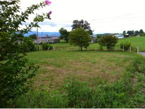 108 Powell Road Limestone, TN 37681 - Photo 1 of 4 Level Lot Septic and Power