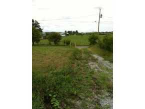 108 Powell Road Limestone, TN 37681 - Photo 4 of 4 Close to West View School