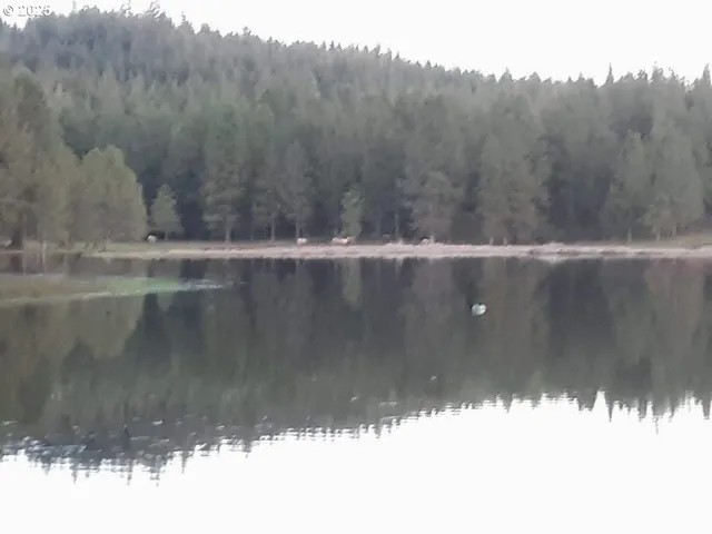 a closeup of a window