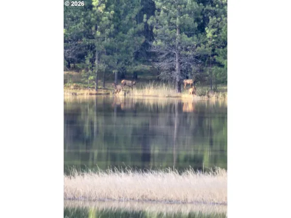 $1,450,000 | 73210 Kingsbury Lane, Elgin, OR 97827