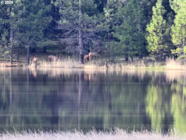 $1,450,000 | 73210 Kingsbury Lane, Elgin, OR 97827