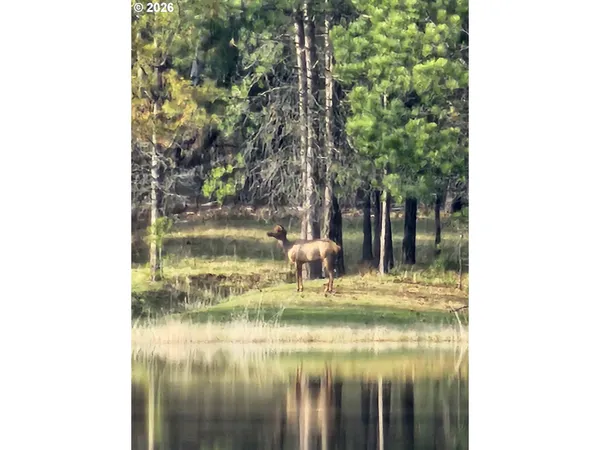 $1,450,000 | 73210 Kingsbury Lane, Elgin, OR 97827