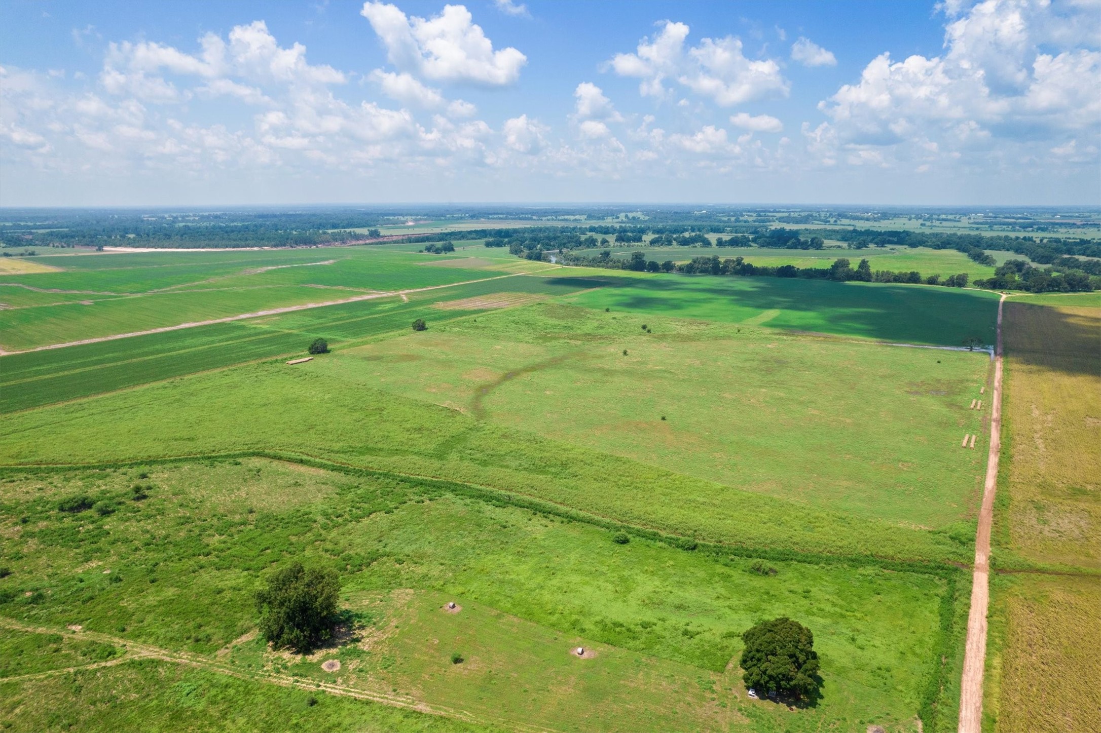 327 County Road 327 Washington, TX 77880 - Photo 12 of 17 a view of a big yard with an outdoor space