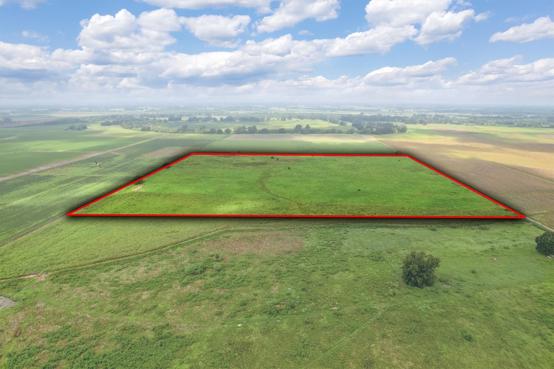 327 County Road 327 Washington, TX 77880 - Photo 3 of 17 a view of a lake with a big yard